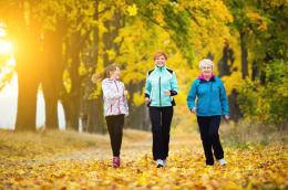 Odpravimo se na sprehod